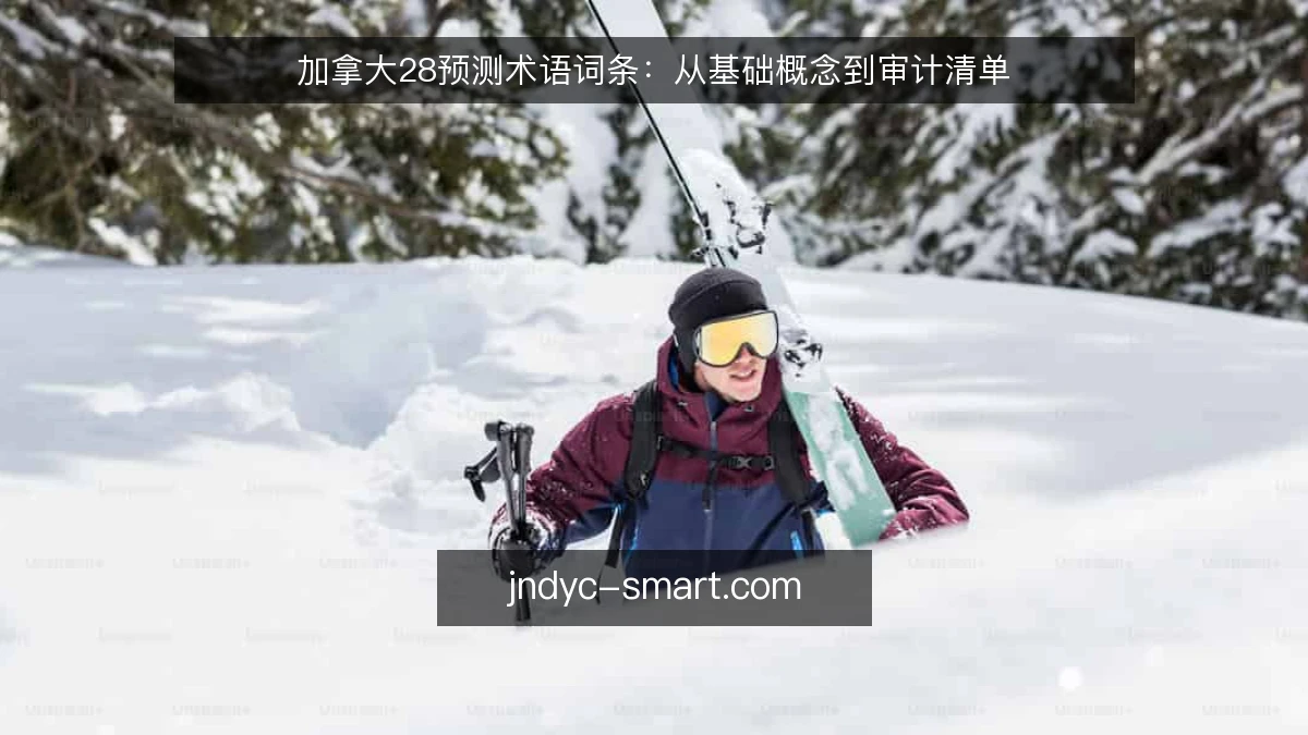 加拿大28预测术语词条：从基础概念到审计清单