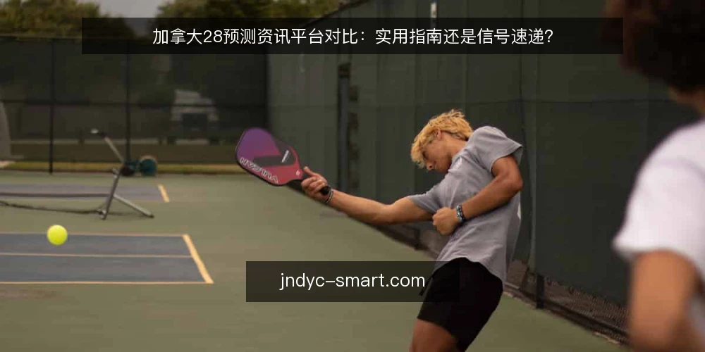 加拿大28预测资讯平台对比:实用指南还是信号速递? — 对比前先看决策标准 配图