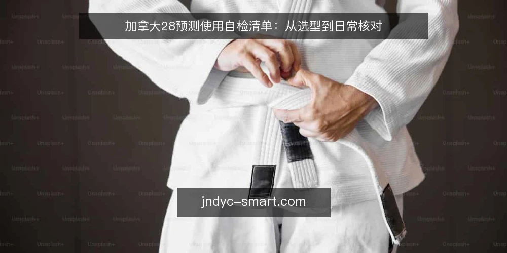 加拿大28预测使用自检清单:从选型到日常核对 — 场景设定:从零开始接触加拿大28预测 配图
