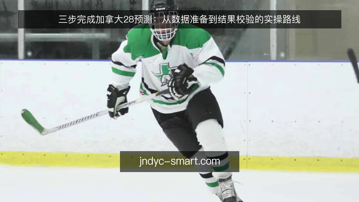 三步完成加拿大28预测：从数据准备到结果校验的实操路线