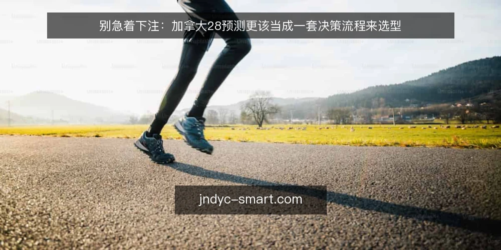别急着下注:加拿大28预测更该当成一套决策流程来选型 — 先定义你要解决的决策问题 配图
